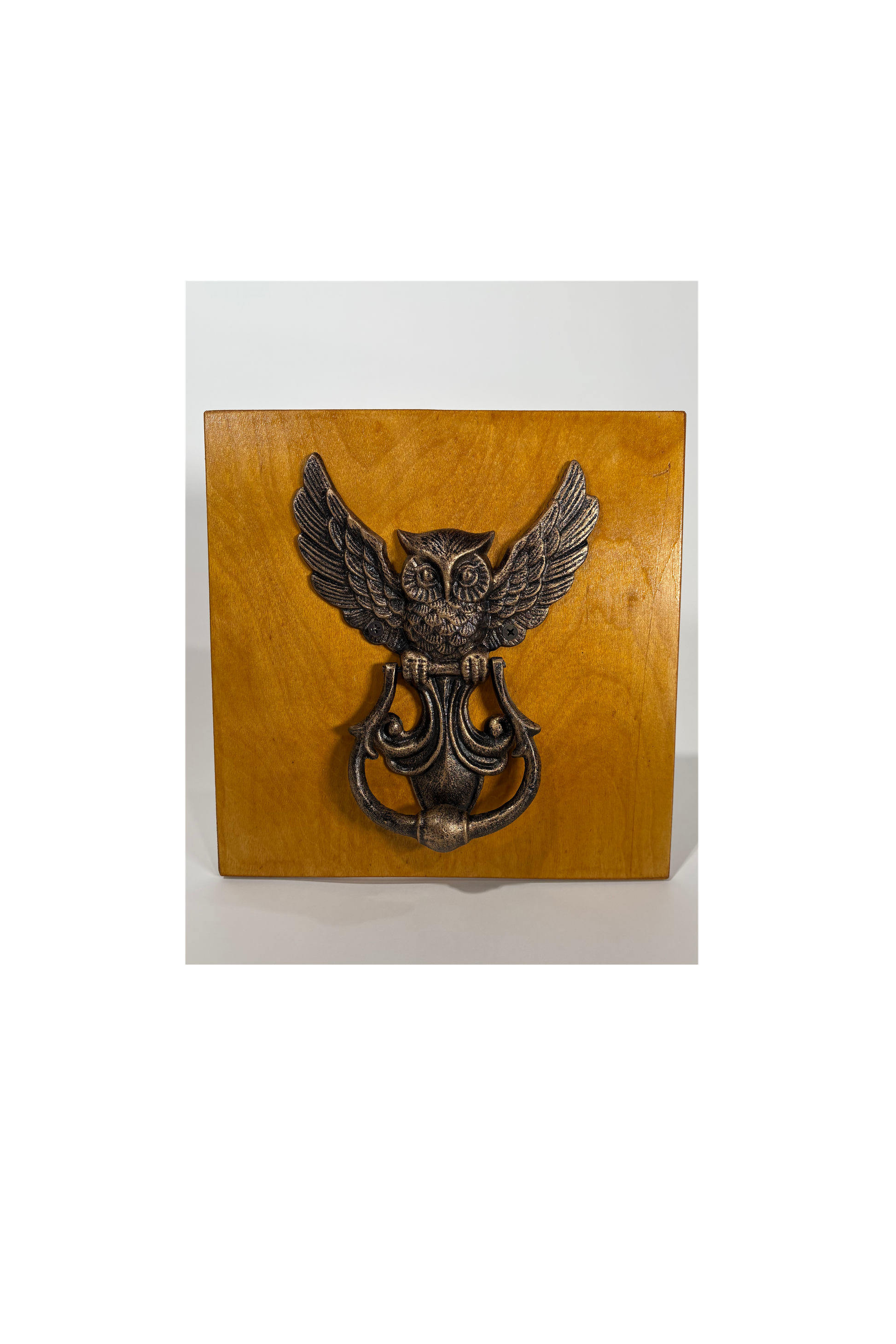 Iron Owl Door Knocker