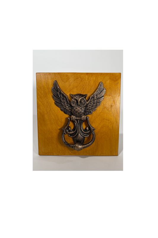 Iron Owl Door Knocker