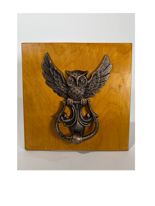 Iron Owl Door Knocker